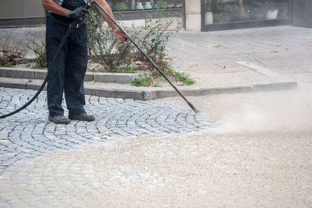 Best Fence Cleaning  in Union City, CA