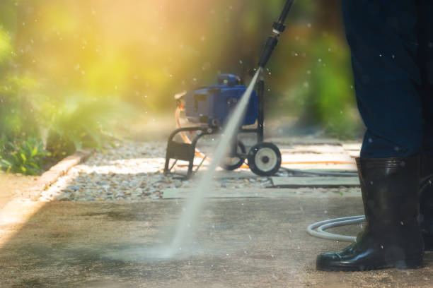 Best Solar Panel Cleaning  in Union City, CA